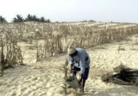 Maghreb : la coopération est impérative pour gérer l’or bleu du désert du Sahara