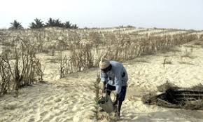 Maghreb : la coopération est impérative pour gérer l’or bleu du désert du Sahara