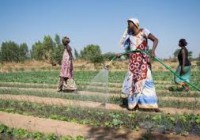 Comment relever le défi de l’eau dans l’agriculture