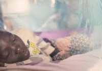L’OMS appelle à relancer la lutte contre le paludisme