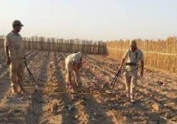 Mines antipersonnel : le Sahel central parmi les zones les plus touchées