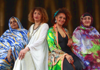 Sahariennes • une rencontre de Femmes au-delà des frontières