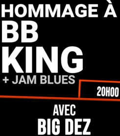 Hommage à BB Kings (SUNSET)