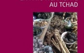 La médecine africaine en pays ngàmbáye au Tchad