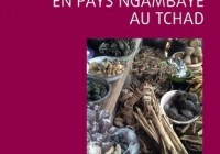 La médecine africaine en pays ngàmbáye au Tchad